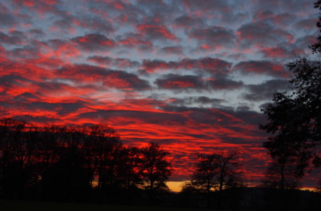 Dieser schöne Sonnenuntergang wurde im Rosensteinpark in Stuttgart-Bad Cannstatt aufgenommen.