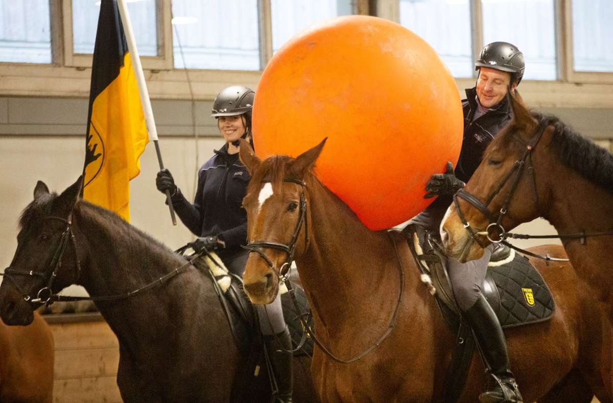 Mit weichen Gymnastikbällen werden die Pferde trainiert, keine Angst vor großen Gegenständen zu haben, die auf sie zukommen.