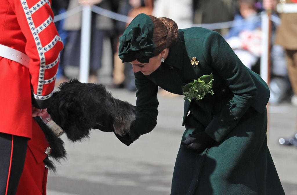 Bei ihrem Auftritt verteilte Kate Streicheleinheiten an das Maskottchen des Regiments, Hund Domhnall. Sie hatte ihn schon mehrere Male bei der Parade getroffen.