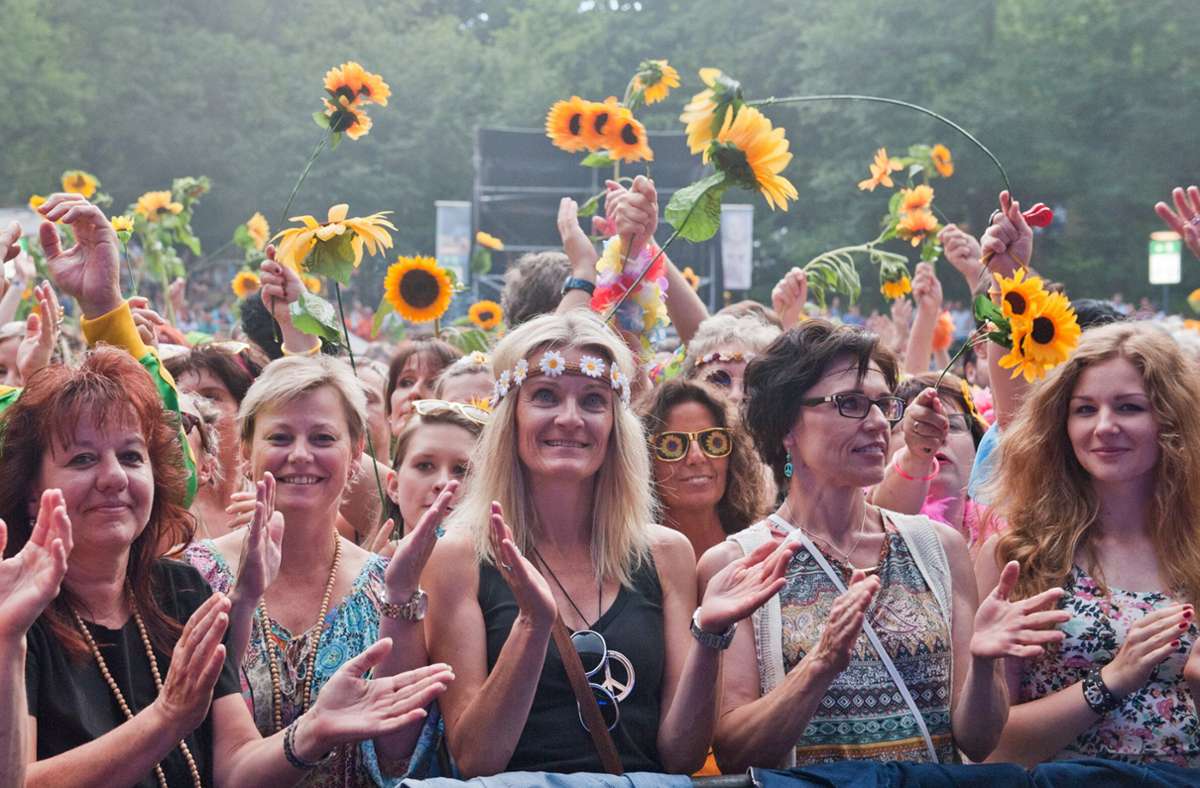 Die Sonnenblumen gehören zu DTK-Konzerten dazu.