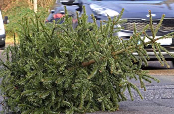 Autofahrer übersehen verloren gegangenen Weihnachtsbaum