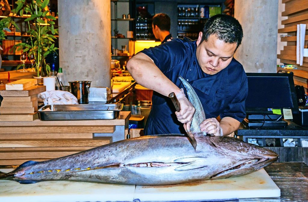 Der 37 Kilo schwerer Thunfisch hat einen eisgekühlten Langstreckenflug von den Malediven zurückgelegt und wird im japanischen Restaurant Mikôto zerlegt.