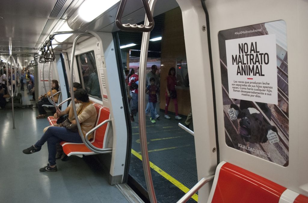 Mehr als zwei Millionen Menschen nutzen in Caracas täglich die U-Bahn. Die Kampagne mit dem Namen „No al maltrato animal“ („Nein zu Tierquälerei“) soll sie dazu ermutigen, öfter pflanzliche Gerichte in den Alltag zu integrieren und dafür auf tierische Produkte zu verzichten.