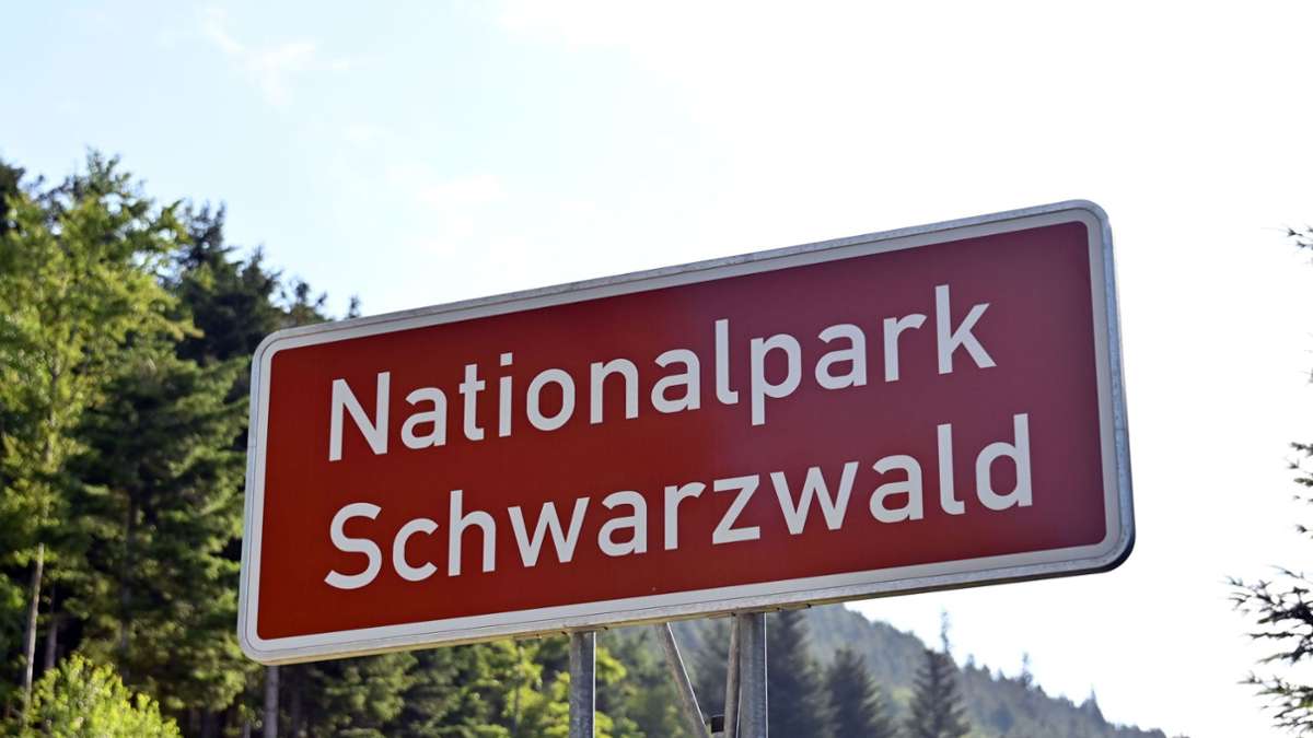 Schwarzwald: 50 Millionen: Nationalparkzentrum doppelt so teuer wie geplant