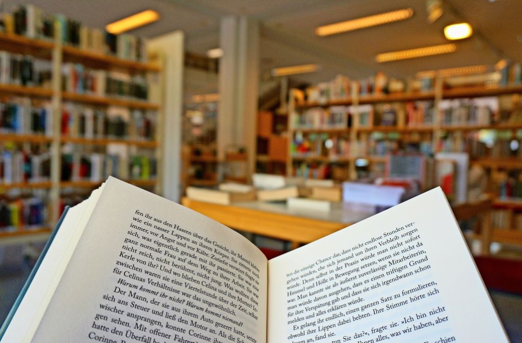Wer will, kann in der Bücherei  ganz traditionell schmökern. Es gibt aber auch ein reichhaltiges Angebot an elektronischen Medien. Foto: Leonie Thum