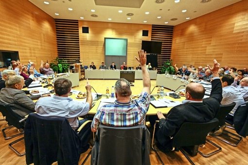 Die Kommunalpolitiker in Weissach müssen sich noch viel mit der Vergangenheit beschäftigen. Foto: factum/Granville