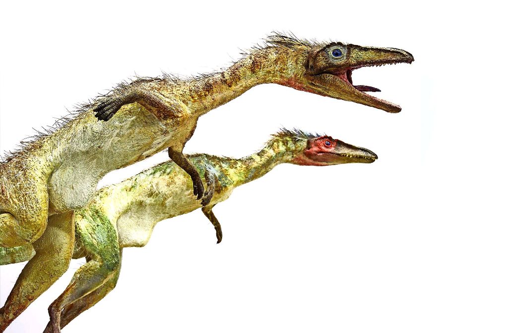 Nachbildungen  gefiederter Raubdinosaurier sollen Besucher in den Heilbronner Deutschhof  locken. Foto: Städtische Museen Heilbronn