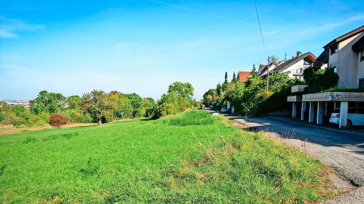 Wohnbebauung in Leonberg: OB Cohn sieht „Pferdefuß“ beim Unteren Schützenrain