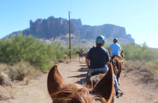 Reiten in der Sonora-Wüste von Arizona: Im Hintergrund türmt sich das mächtige Bergmassiv der Superstition Mountains auf. Foto: Susanne Hamann