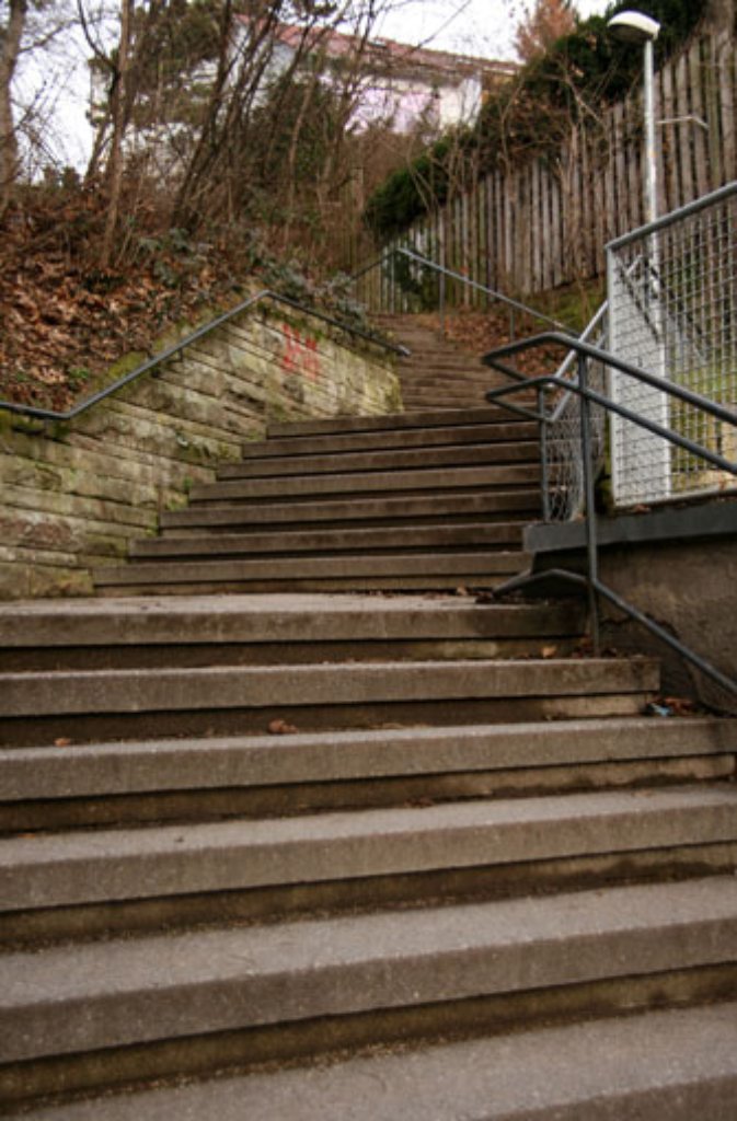 Die Taubenstaffel im Stuttgarter Süden soll eine der längsten Treppenanlagen Stuttgarts sein. Gut 350 Stufen führen von der Böblinger in die Hohentwielstraße. Beim Aufstieg sollte man den Blick zurück nicht vergessen: Die Taubenstaffel bietet wunderbare Ausblicke auf Heslach.