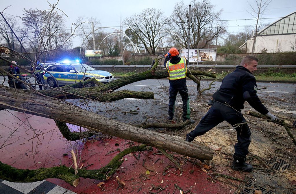 Vielerorts stürzten Bäume um und behinderten den Verkehr – wie hier in Nordrhein-Westfalen.