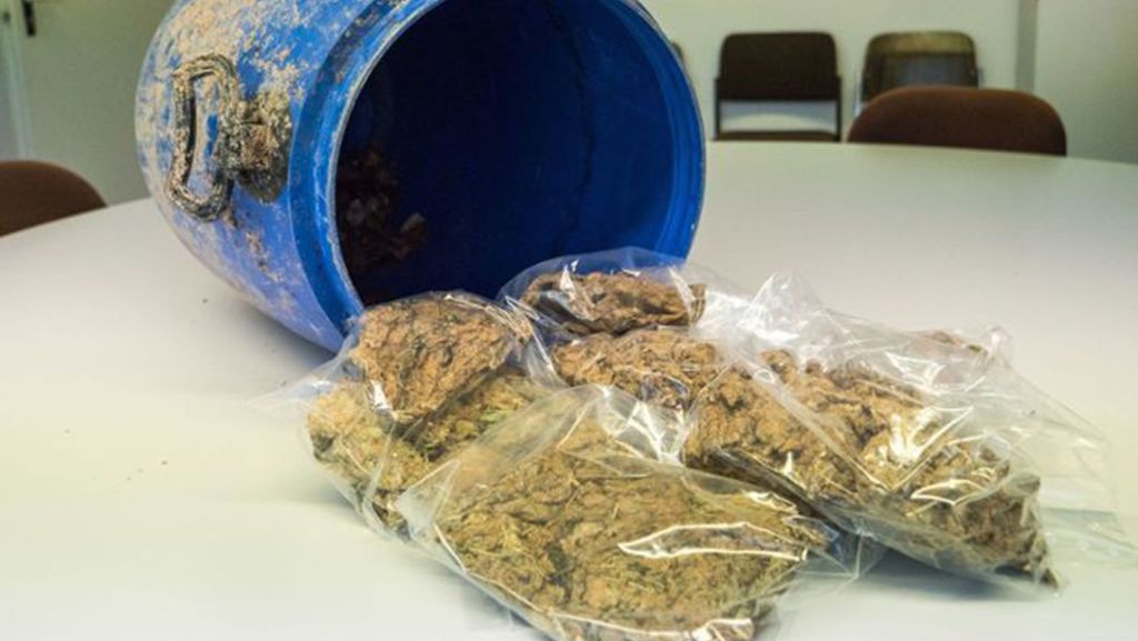 Rauschgift statt Pilze gefunden: Ein Stuttgarter  erzählt von seinem kuriosen Drogenfund