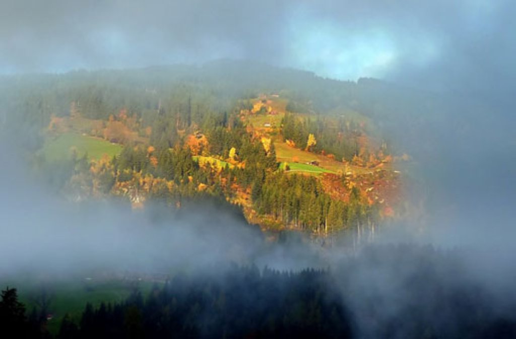 Stuttgarter Herbstwald blitzt durch ein Loch im Nebel.