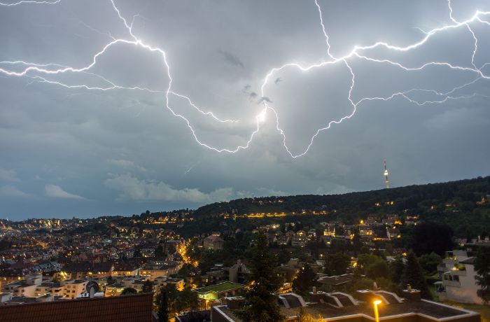 Unwetter in der Region Stuttgart: Buchen sollst du suchen? Das ist dran an Gewitter-Mythen