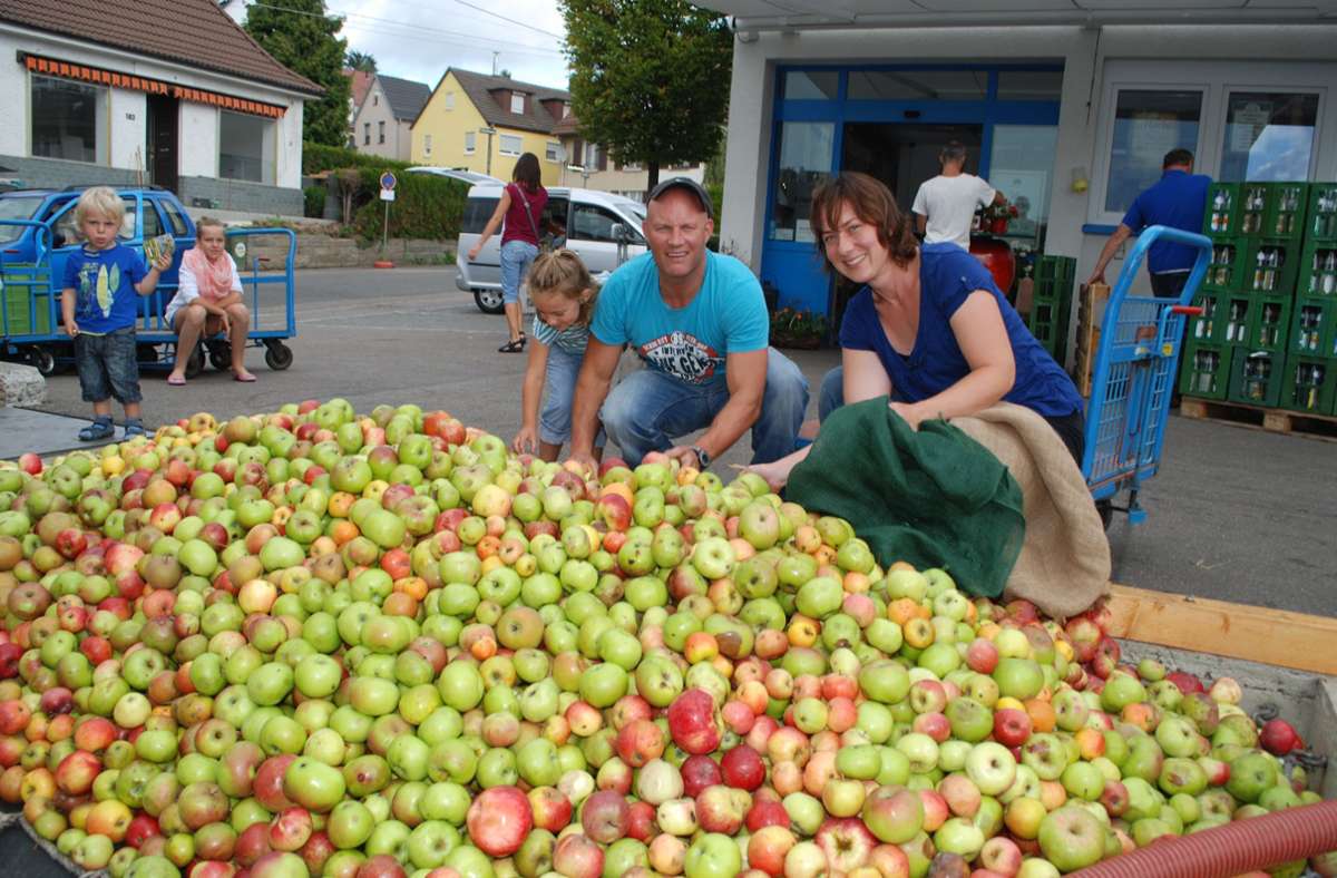 Ein Spaß für die gesamte Familie: Äpfel ernten und dann dafür Saftkisten mitnehmen.