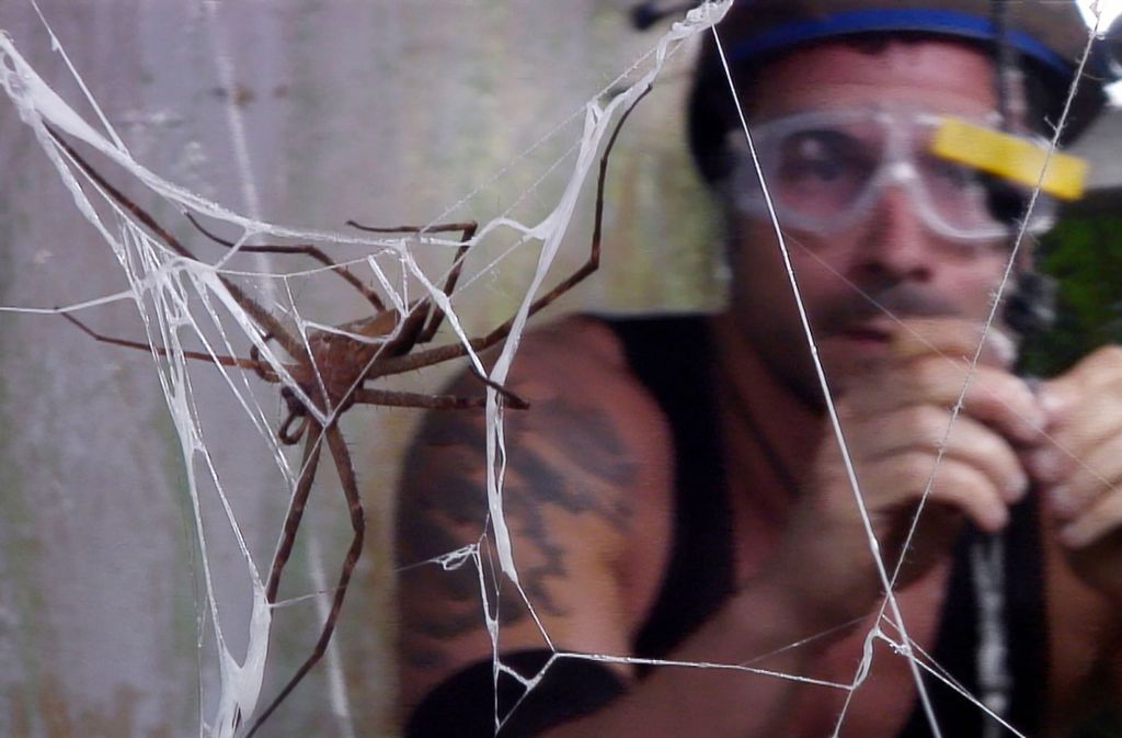 Über eine Leiter gelangt Marc in eine oberirdische Kammer voller Spinnen.