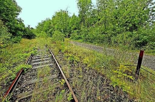 Überwuchert, zugewachsen, teilweise zugebaut: das alte WEG-Gleis in Vaihingen ist in keinem guten Zustand. Foto: factum/Archiv