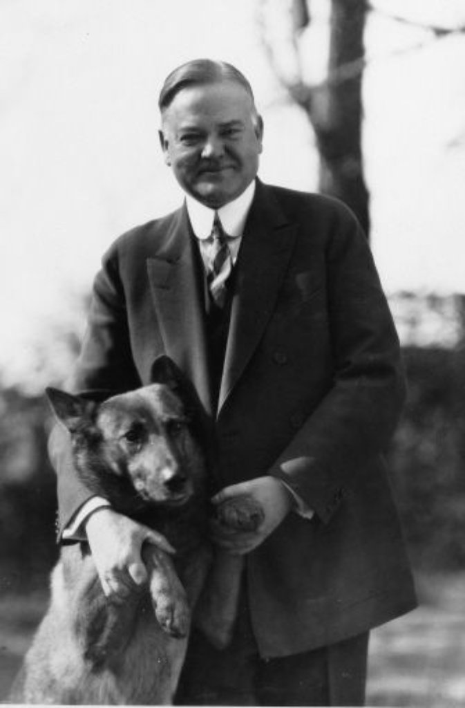 US-Präsident Herbert Hoover mit seinem Schäferhund King Tut. Während Hoovers Wahlkampf musste der Hund oft ins Rampenlicht - der Politiker wirke sonst so steif, befanden seine Berater.