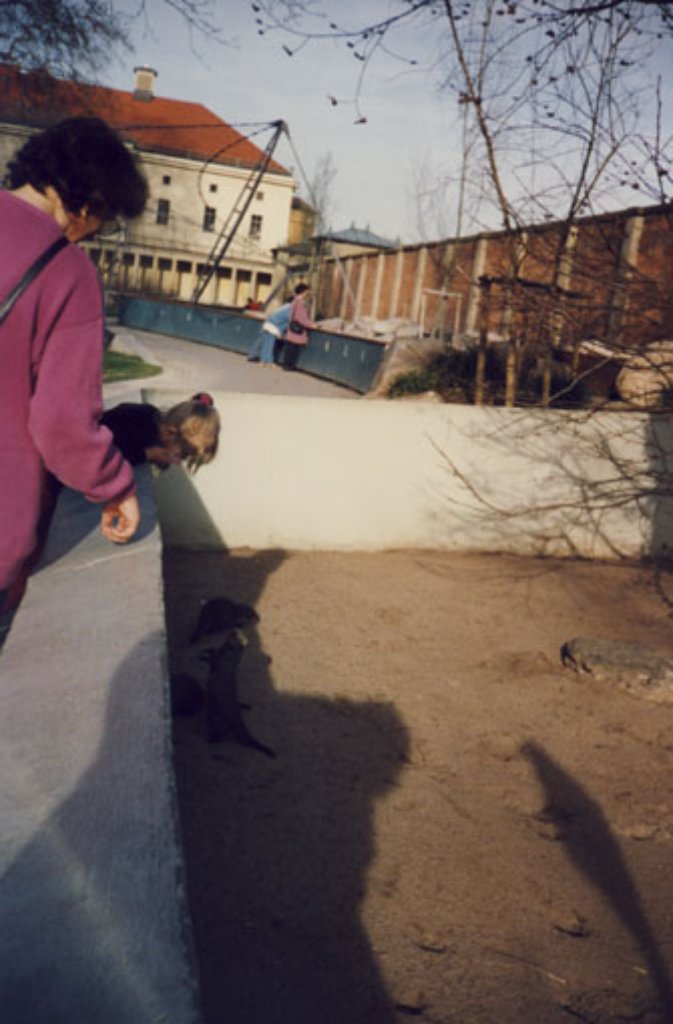 Für viele Besucher sind sie die Lieblinge: Erst kürzlich konnten die Erdmännchen ihre neu gestaltete Anlage in der Wilhelma beziehen. Das Foto von Manuela Siewert zeigt das Terrain der "putzigen" Raubtiere im Jahr 1994.