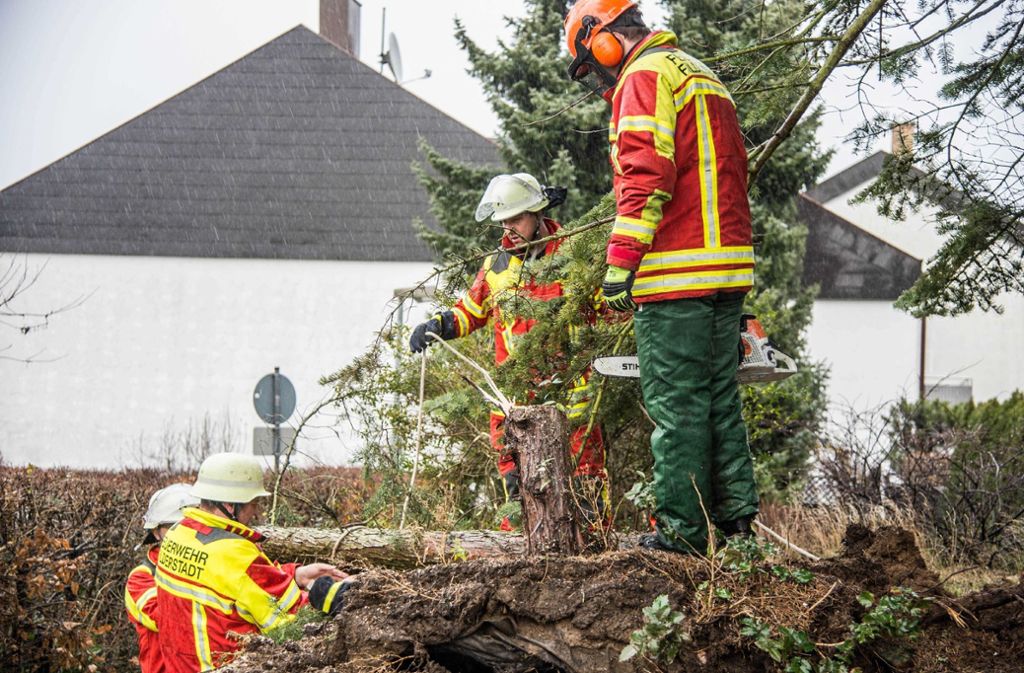 In Filderstadt-Plattenhardt zersägt die Feuerwehr einen umgestürzten Baum.