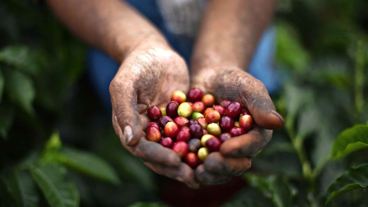 Fairer Handel: Heimsheim wird zum vierten Mal Fairtrade-Town