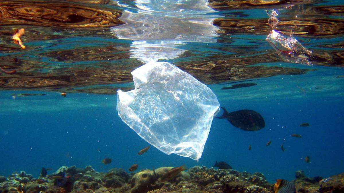 Umwelt: Studie: Bis zu elf Millionen Tonnen Müll auf dem Meeresgrund