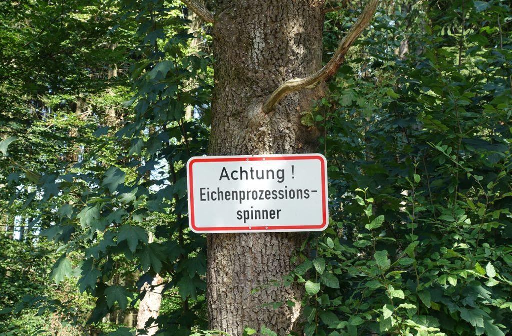 Schilder warnen Spaziergänger vor befallenen Waldgebieten.