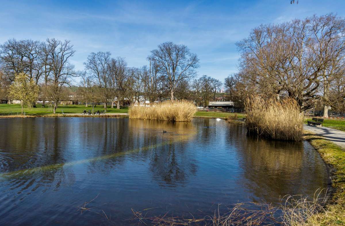 Ausruhen in der Natur: Das ist auch beim Pumpsee im Rosensteinpark möglich, der im Stadtteil Neckarvorstadt liegt.