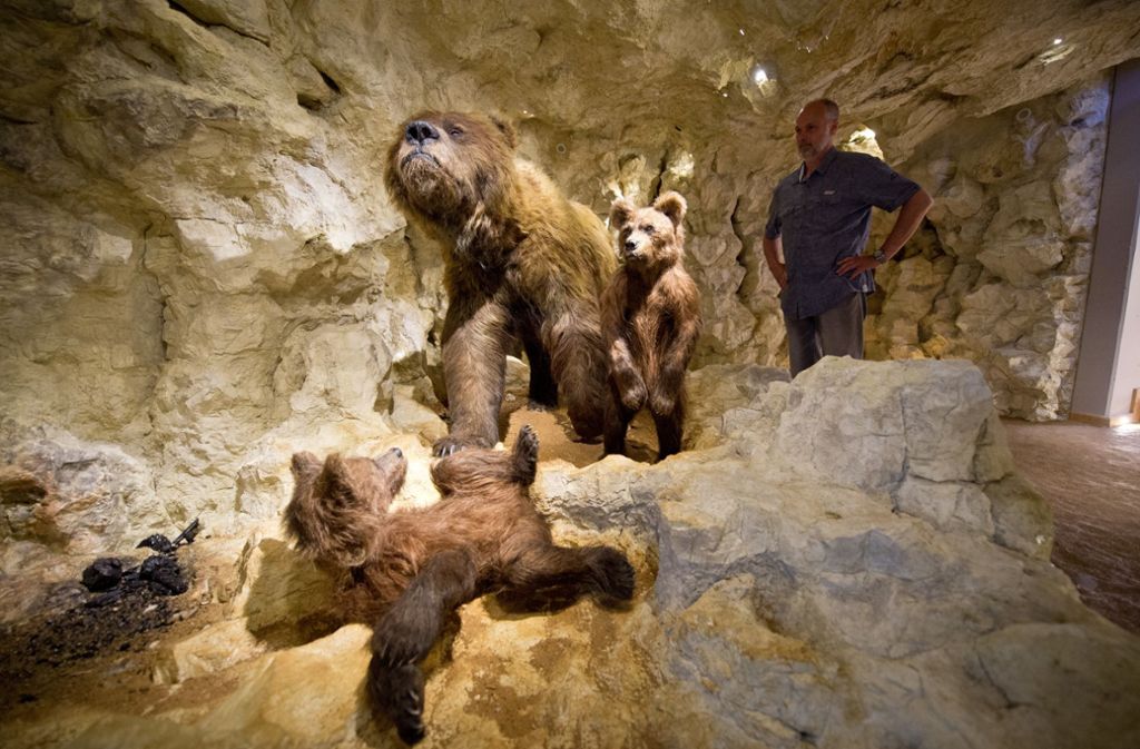Nachbau einer Bärenhöhle mit Darstellungen von Höhlenbären (Ursus spelaeus) aus der Würm-Kaltzeit vor 115 000 bis 11 800 Jahren in der Ausstellung „Eiszeit“ des Staatlichen Museums für Naturkunde in Stuttgart.
