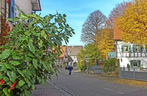 Schöckingen hat eine große Dorfgemeinschaft. Damit das so bleibt, machen sich Bürger über Veränderungen Gedanken. Foto: factum/Bach