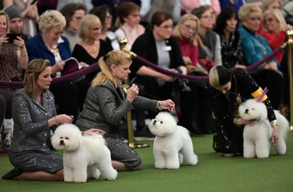 Zuschauer und Hundehalter sitzen gemeinsam auf der Bank, sodass Interessierte mit den Profis ins Gespräch kommen können.