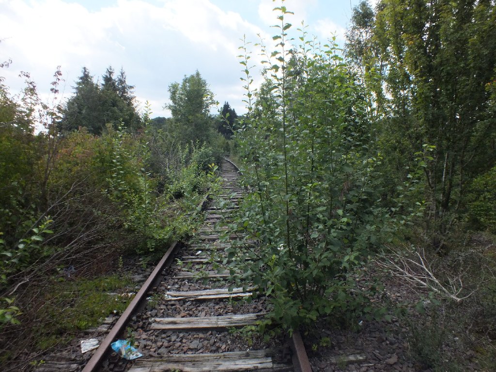 Bilder entlang der alten Schwarzwaldbahn.