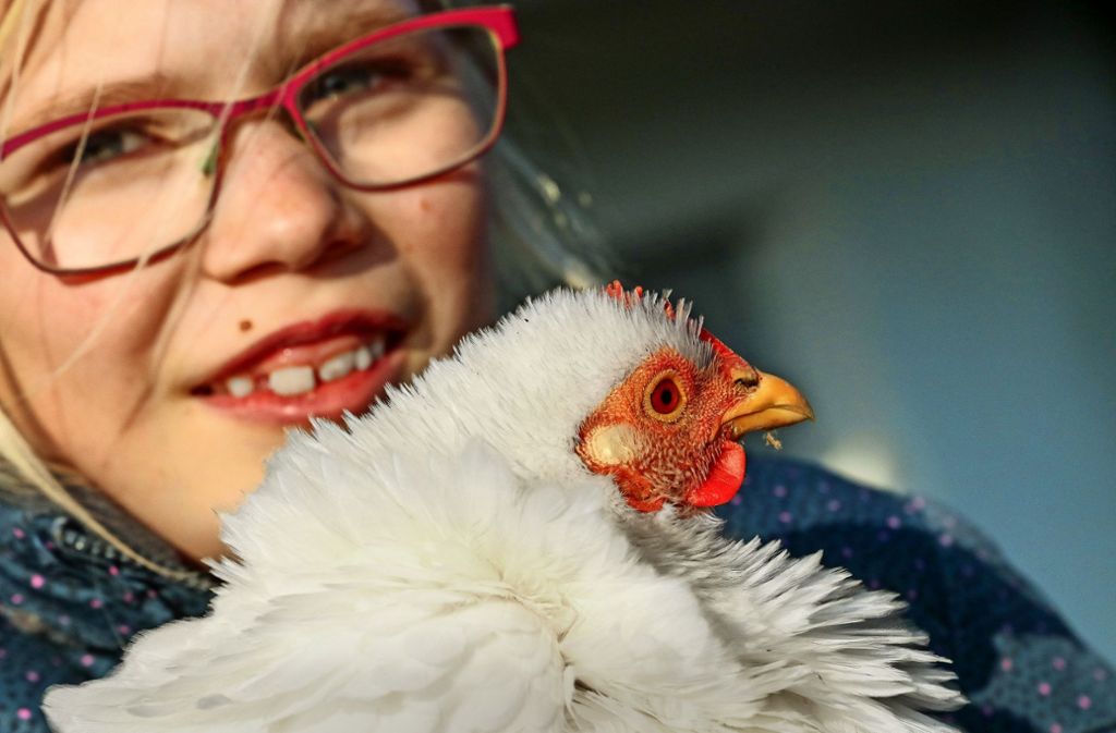 Die siebenjährige Charlotte liebt ihre schöne Kiki II. heiß und innig – nicht nur der Eier wegen.