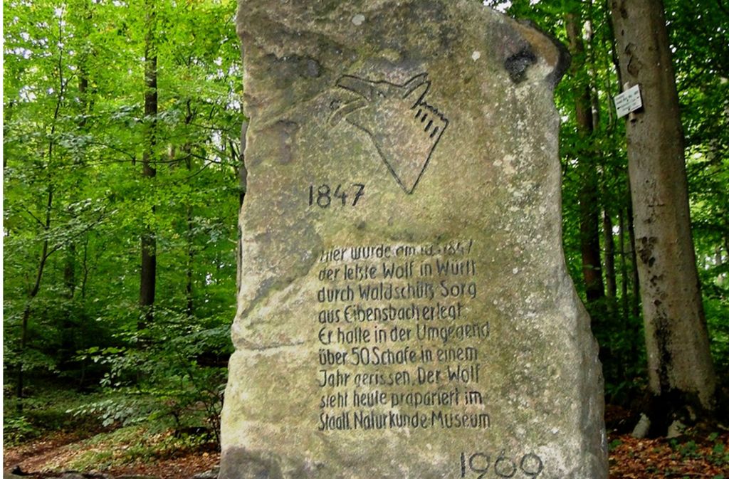 Ein Gedenkstein erinnert an den letzten Wolf Württembergs. Er wurde erschossen. Hilke Lorenz