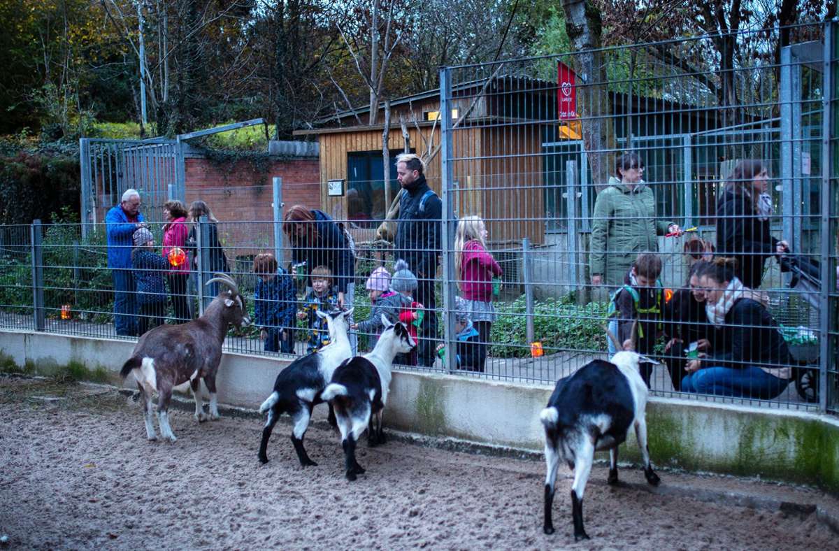Der Tierpark in Göppingen kann wieder besucht werden.