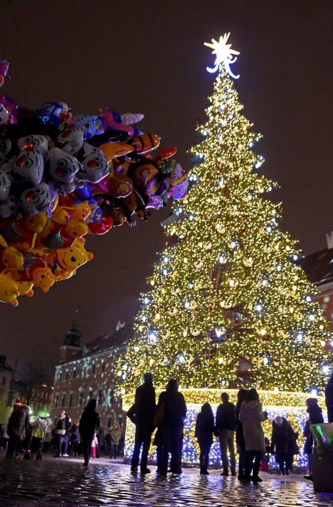 Vor dem Warschauer Königsschloss können Besucher seit dem dritten Dezember diesen imposanten Baum bewundern.