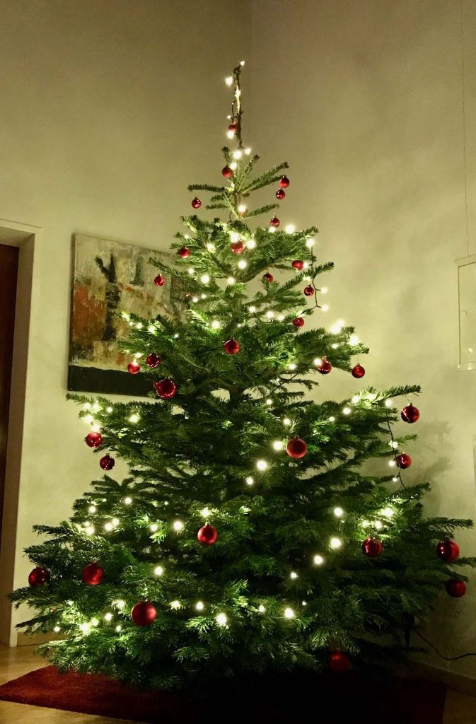 Katharina Schurr aus Feuerbach hat ihren Weihnachtsbaum ganz in rot und weiß gehalten.