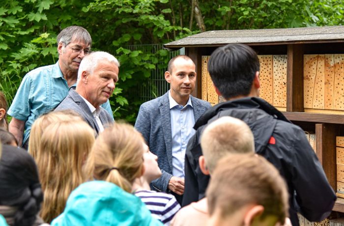 Projekt am Max Planck-Gymnasium Böblingen: Schulgarten entwickelt sich zur Wildbienen-Oase