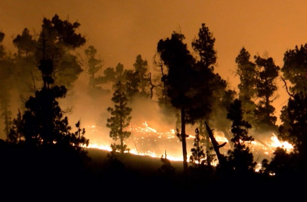 Ein Deutscher hatte den verheerenden Waldbrand auf La Palma verursacht.