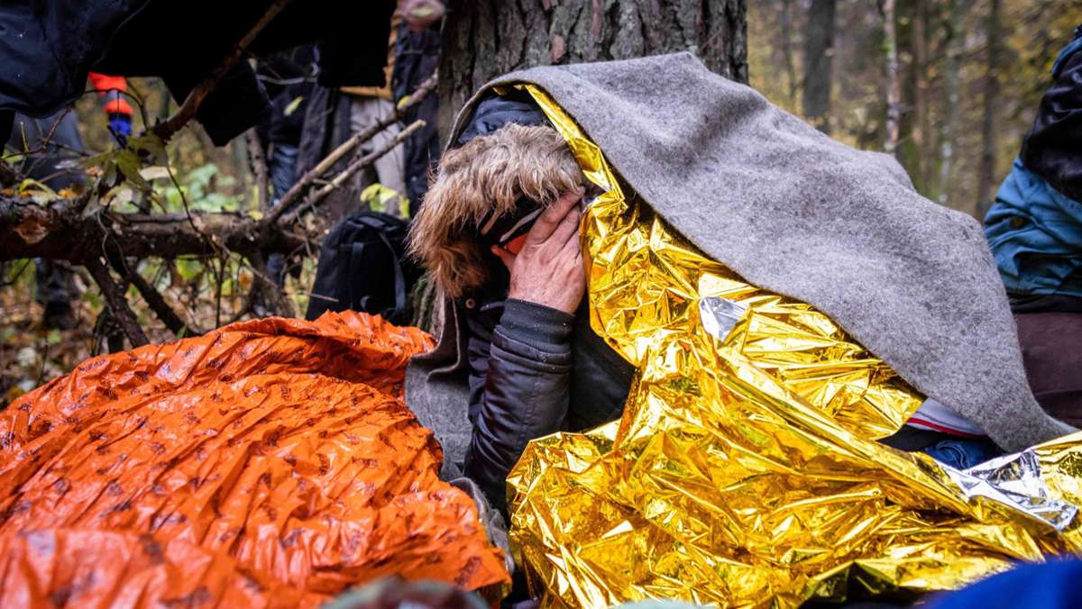 Flüchtlinge wollen über Belarus in die EU: Zäune sind der falsche Weg