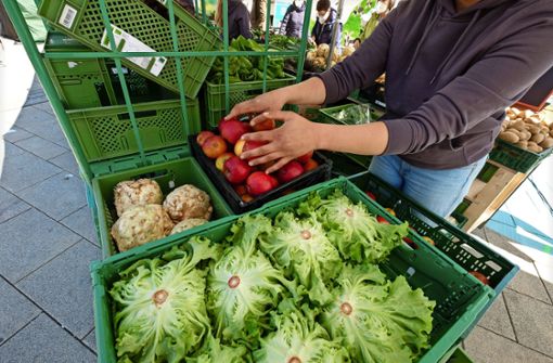 Auf dem Markt erhalten die Kunden Obst und Gemüse in Bio-Qualität. Foto: Lg/Leif Piechowski