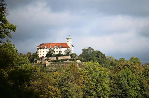 Hoch über Vaihingen an der Enz thront das Schloss Kaltenstein – es ist verwaist. Foto: dpa