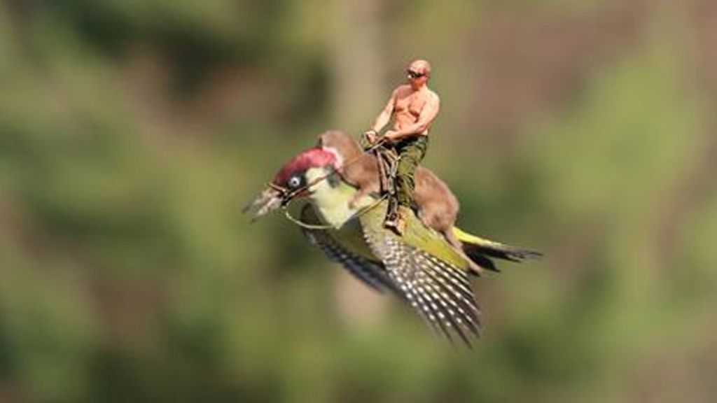 Kolumne Angeklickt: Wenn Putin den Pecker reitet