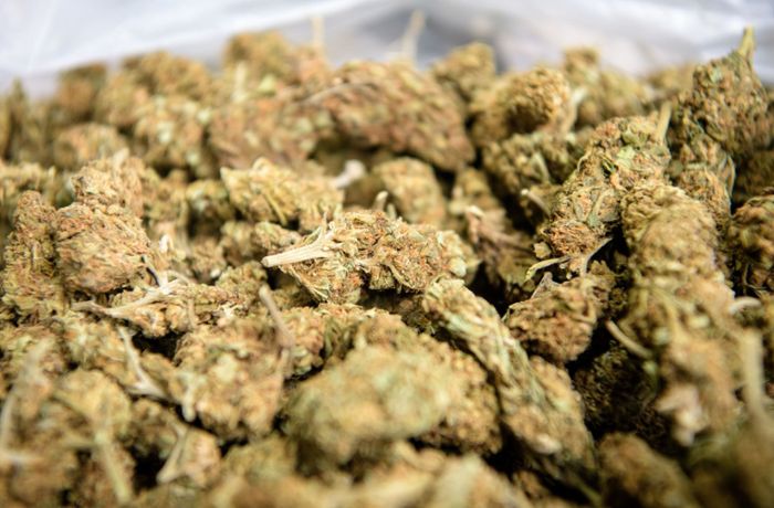 14,5 Kilogramm Marihuana im Kofferraum entdeckt