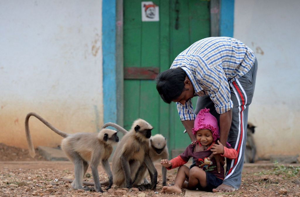 Doch dann sei ihnen klar geworden, dass die Affen und den „Mini-Mogli“ eine Art Freundschaft verbindet.