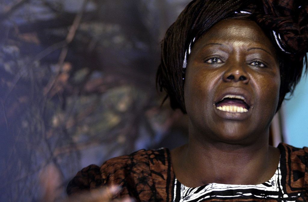 Wangari Maathai Eine verblüffend effektive Idee und eine tolle Win-win-Situation, die Mensch und Natur voranbringt: Bäume pflanzen, besser: pflanzen lassen. Mit jedem Baum, den die Kenianerin mit ihrem Unternehmen Envirocare setzte, sollte die Zahl der Arbeitslosen sowie die Bodenerosion abnehmen und das Wissen um einen bewussteren Umgang mit der Natur wachsen. Maathai, studierte Biologin, die 1971 Professorin an der Uni in Nairobi wurde, hatte nicht nur den Wald in Kenia im Blick, sondern auch die Ausbildung von Frauen. Das von Maathai 1977 gegründete Aufforstungsprojekt „Green Belt Movement“ wurde zur afrikanischen Bewegung, die in 13 Ländern Baumschulen gründete, 30 Millionen Bäume pflanzte und 30 000 Frauen in Forstwirtschaft und Imkerei ausbildete. Als Hauptenergiequelle zum Kochen ist die Verfügbarkeit von Holz in Afrika überaus wichtig, wie der Beiname zeigt, den ihre Landsleute Wangari Maathai gaben: Mama Miti, das heißt auf Kisuaheli Mutter der Bäume. Dass eine intakte Umwelt eine nicht zu vernachlässigende Voraussetzung für ein friedliches Miteinander ist, hat sich schließlich bis nach Oslo herumgesprochen: Als erste afrikanische Frau erhielt Wangari Maathai 2004 den Friedensnobelpreis. (ak)