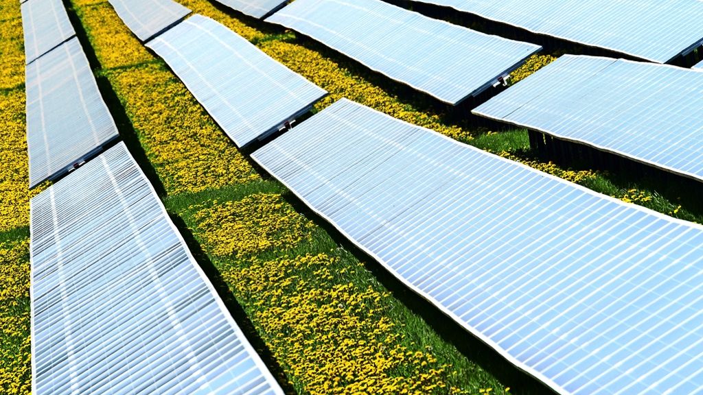Solarwirtschaft: Nur Solarspeicher sorgen für Lichtblicke