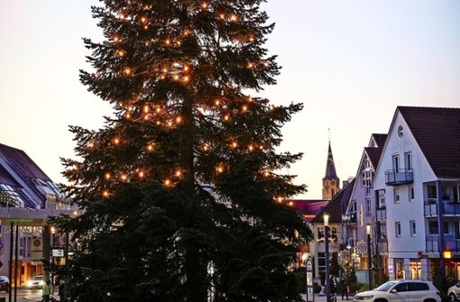 Ein stattlicher Weihnachtsbaum schmückt den Rutesheimer   Rathausplatz. Foto: factum/Jürgen Bach