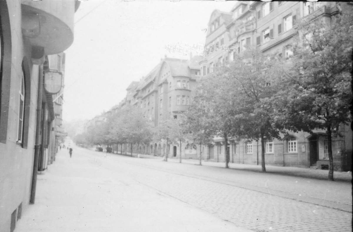 ... auf die Bäume der rechten Straßenseite, hier der Teil bis zur Claudiusstraße.