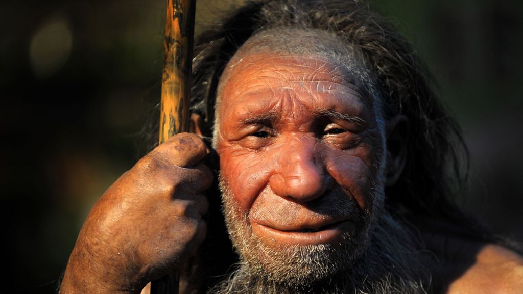 Fund auf der Alb: Neandertaler  in neuem Licht